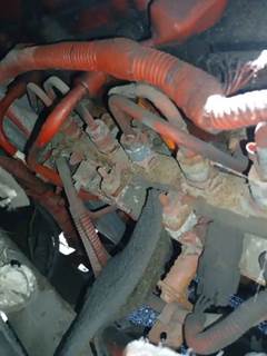 Engine for a 2011 Thomas AUTOBUS FLAT NOSE