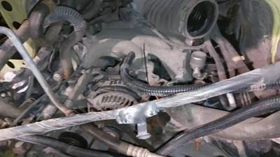 Ford 6.8L EFI SOHC V10 Engine for a 2012 Ford E-350 AUTOBUS