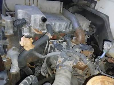 Hino J05D-TA Engine for a 2005 Hino 185