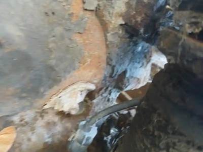 International DT466E Engine for a 2004 International 4300 SBA