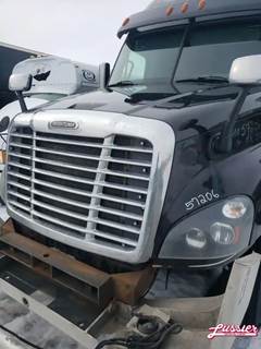 Freightliner Cascadia 125 Hood for a 2016 Freightliner CASCADIA PX125064S T