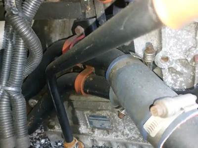 Verification Pending