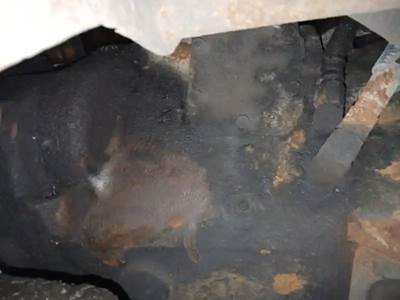 Verification Pending