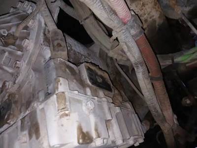 Verification Pending