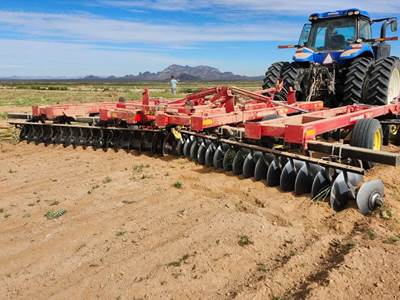 Sunflower 1436-21 Disk