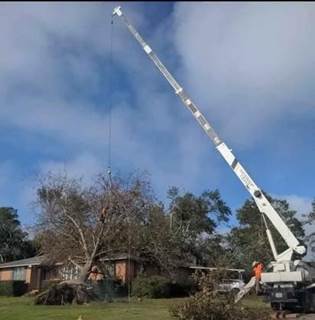 Volvo A20 28-Ton Crane Truck - 2001 NATIONAL 1195 Crane, 8Ll