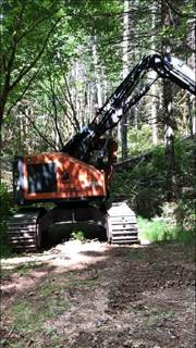 2014 Barko 260 Firewood Processor