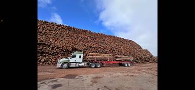 2019 Freightliner Cascadia 126 Logging Truck