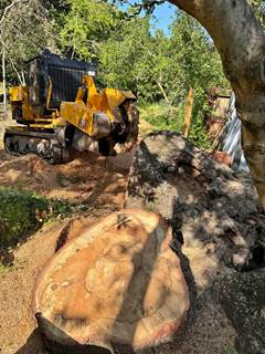 Carlton 7015 Wireless Remote Track Stump Grinder