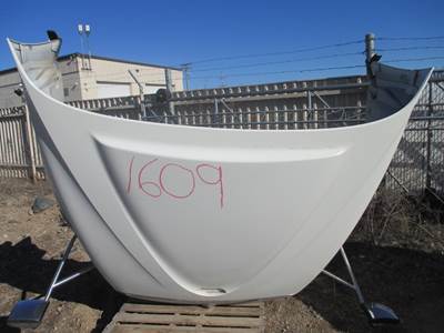 International ProStar Hood