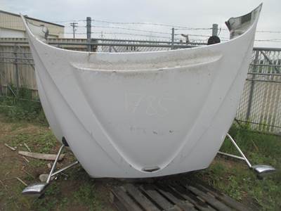 Used International ProStar Hood, White, 57"