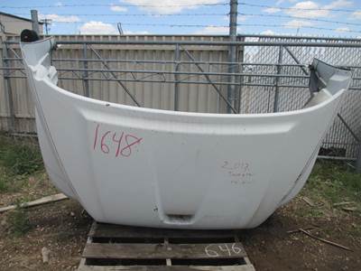 International TerraStar Hood