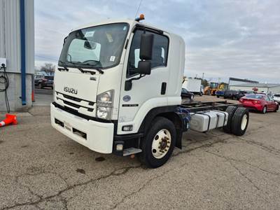 Isuzu FTR Cab & Chassis Truck