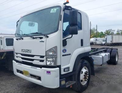 Isuzu FTR Single Axle Cab & Chassis Truck
