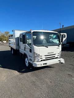Isuzu NQR Dump Truck