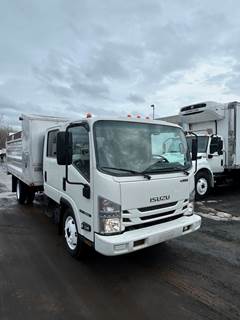 Isuzu NQR Dump Truck