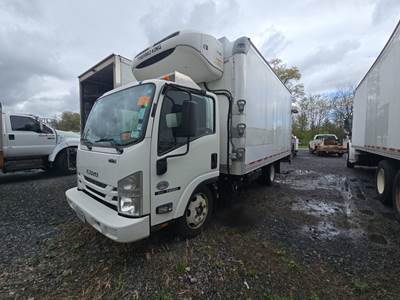 Isuzu NQR Refrigerated Truck