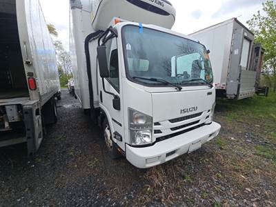 Isuzu NQR Refrigerated Truck