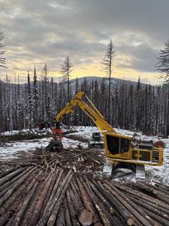 2023 Komatsu PC230F-11 Logging Processor - Southstar 500 Processor