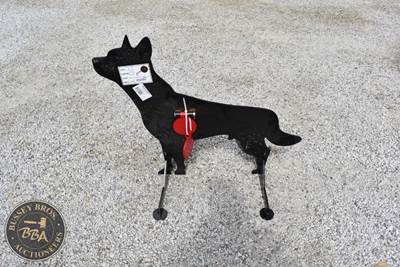 Coyote SHOOTING TARGET