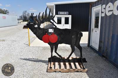 ELK SHOOTING TARGET