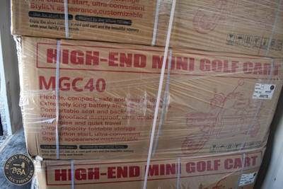 SDLANCH HIGH-END MINI GOLF CART