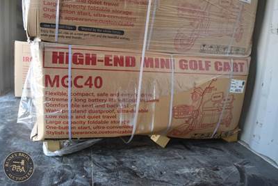SDLANCH HIGH-END MINI GOLF CART
