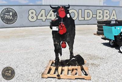 Bull Shooting Target Steel, Black, Red Targets, New/Unused