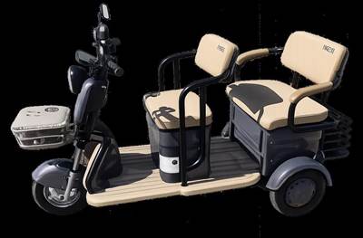 Iranch Mini Golf Cart Purple, 3 Wheeled Electric Cart Front And Rear Bench Seats