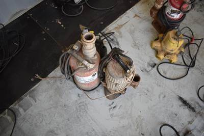 Everbilt And Ponstar Utility Pumps Two, Electric, Everbilt (Plastic Utility