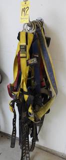 Safety Harnesses