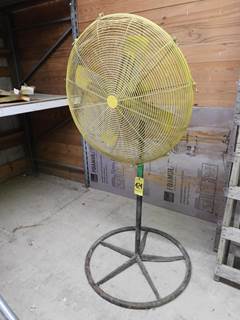 Pedestal Fan