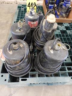 (5) Submerisable Utility Pumps