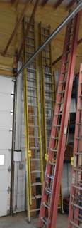 Green Bull 40' Fiberglass Extension Ladder