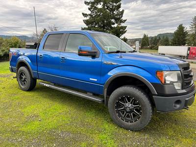 2013 Ford F-150 FX4 Off-Road Crew Cab Truck