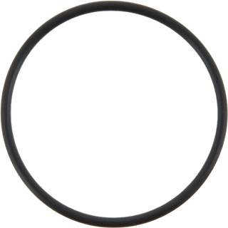 Eaton 129579 Differential Part