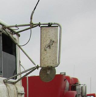 Mack RD688S Left Door Mirror