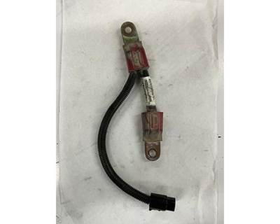 Used Paccar battery POSITIVE! cable.
P/N: 16-06910-20FH0200
