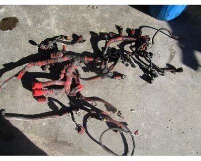 USED CUMMINS ISX ENGINE HARNESS FROM ECM TO SENSORS 