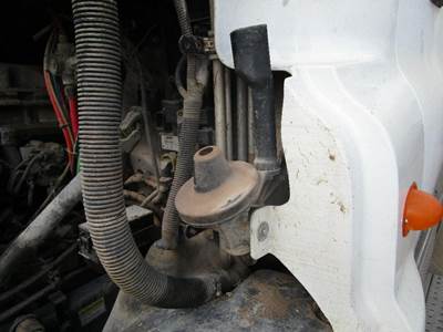 Freightliner Cascadia Left for a Freightliner CASCADIA 125