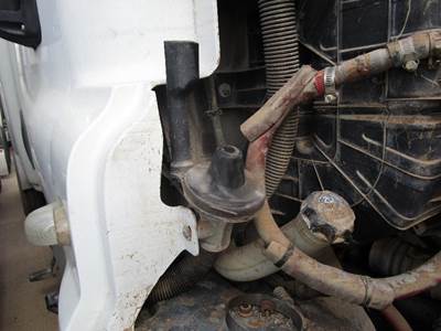 Freightliner Cascadia Right for a Freightliner CASCADIA 125