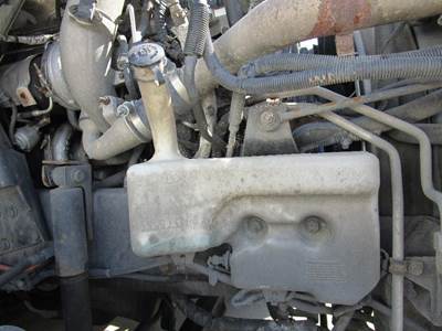 International ProStar