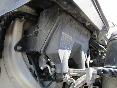 International ProStar