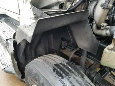 International ProStar