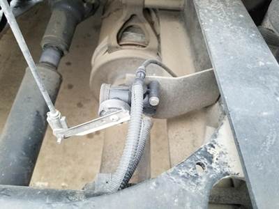 International ProStar