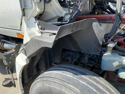 International ProStar