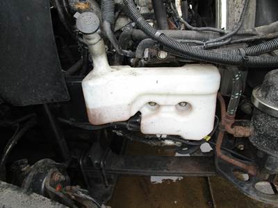 International ProStar