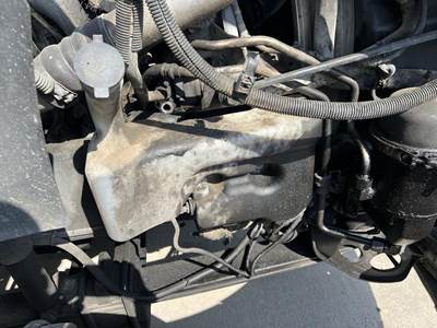 International ProStar