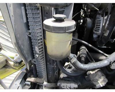 International ProStar Power Steering Assembly
