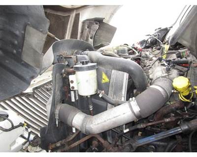 International ProStar Radiator